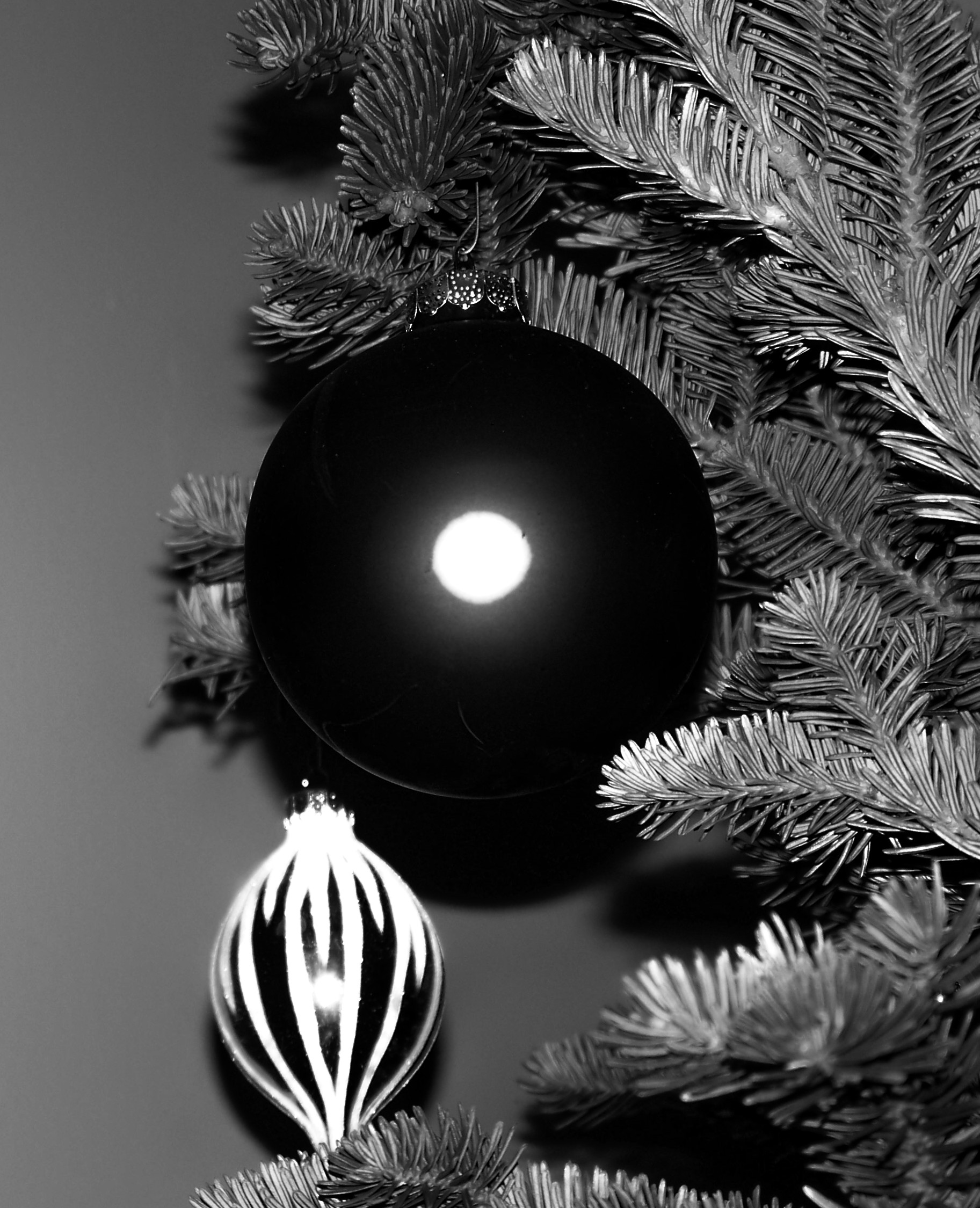 ornament.jpg